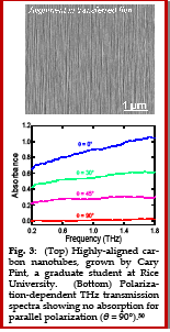 Carbon Nanotubes